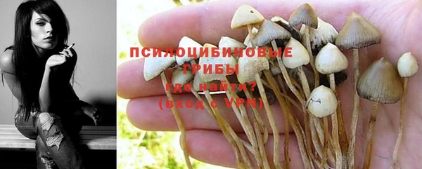 дмт Бутурлиновка
