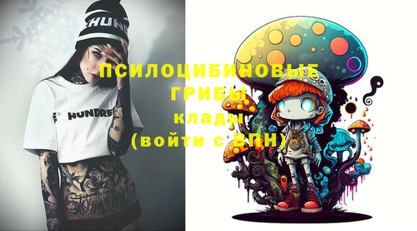 гидра Остров