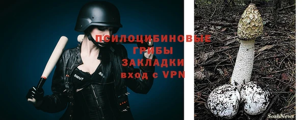 гидра Остров