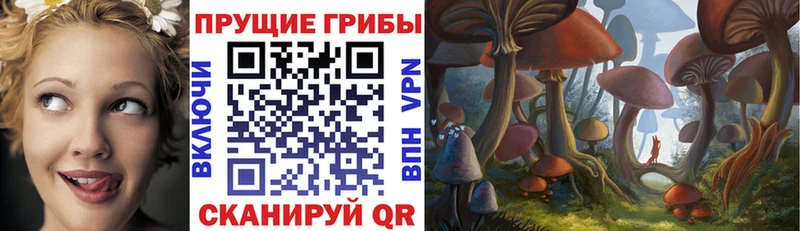 как найти   Мегион  Галлюциногенные грибы ЛСД 